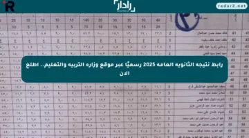 رابط نتيجة الثانوية العامة 2025 رسميًا عبر موقع وزارة التربية والتعليم.. اطلع الآن